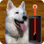 Play with dog using a laser! icon