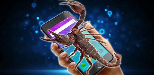 Scorpion in phone pc screenshot