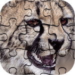 Top Jigsaw Puzzle 1000 Pieces icon