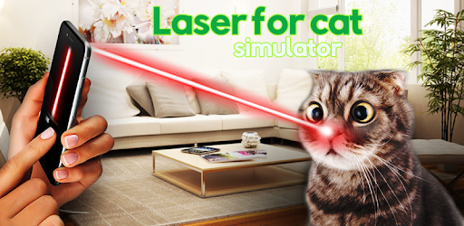 Laser for playing with cat pc screenshot