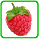 Kids Learning Fruits & Veggies icon