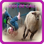VIDEOS OF FALLS icon