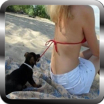 Free funny videos icon