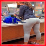 Free Funny Videos for Whatsapp icon