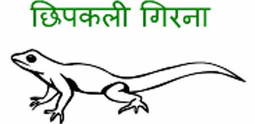 Chhipkali girana (in Hindi) pc screenshot