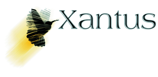 Xantus Keyboard pc screenshot Xantus Keyboard pc screenshot