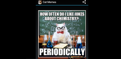 Cat Memes pc screenshot