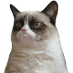 Cat Memes icon