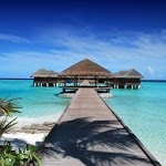 Tropical Beach Wallpapers icon