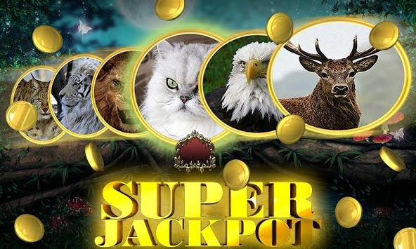 Jogos de slot 100 Dice Jogos de slot 100 Dice