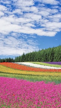 Spring Live Wallpaper APK screenshot 1