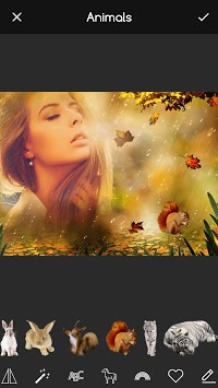 Autumn Frames for Pictures: Fall Wallpaper Maker APK screenshot 1