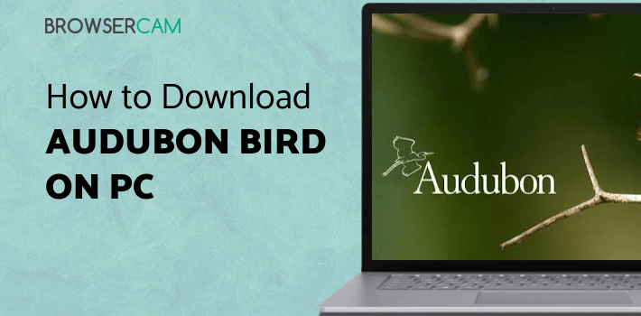 Audubon Bird Guide for PC - How to Install on Windows PC, Mac