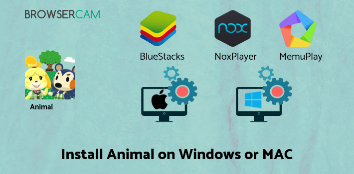 how to install Animal Crossing: Pocket Camp on PC how to install Animal Crossing: Pocket Camp on PC