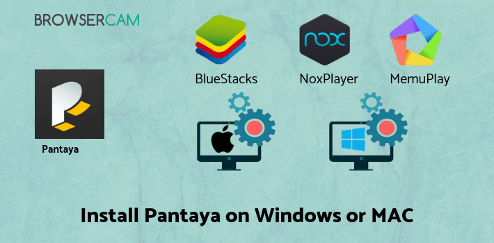 how to install Pantaya on PC