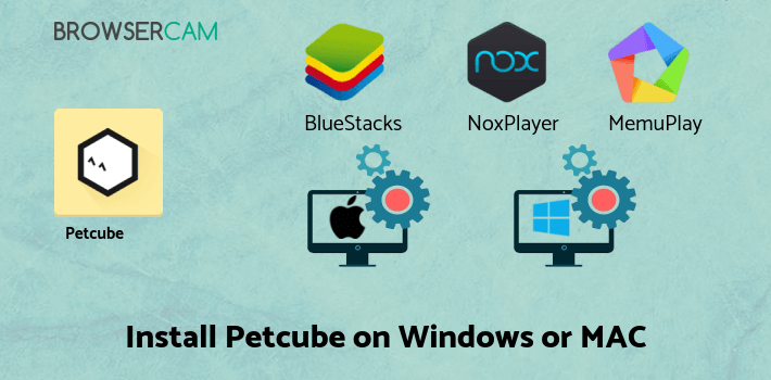 how to install Petcube on PC