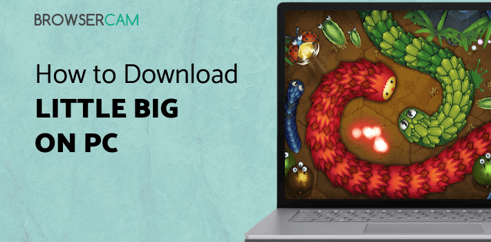 Little Big Snake for PC