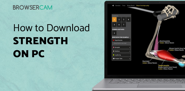 Muscly Computer Strength Training by Muscle & Motion for PC - How to Install on Windows ...