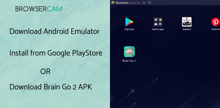 run Brain Go 2 on PC run Brain Go 2 on PC