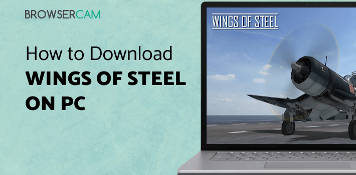 Wings of Steel for PC Wings of Steel for PC